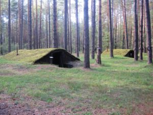 "Лісоград" запрошує на свято @ ММК партизанської слави "Лісоград"